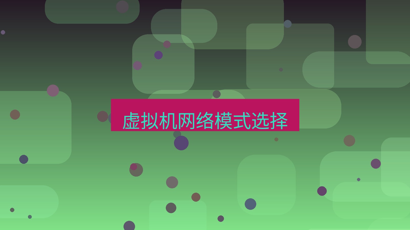 快连VPN 虚拟机网络模式选择