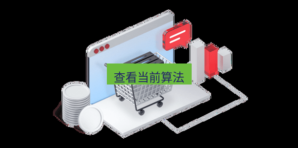 快连VPN 查看当前算法