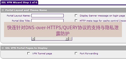 快连VPN 快连针对DNS-over-HTTPS/QUERY协议的支持与隐私泄露防护