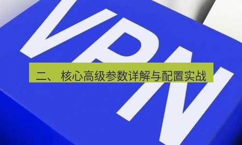 快连VPN 二、 核心高级参数详解与配置实战