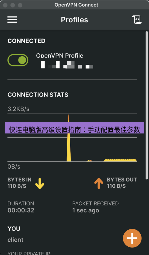 快连VPN 快连电脑版高级设置指南：手动配置最佳参数