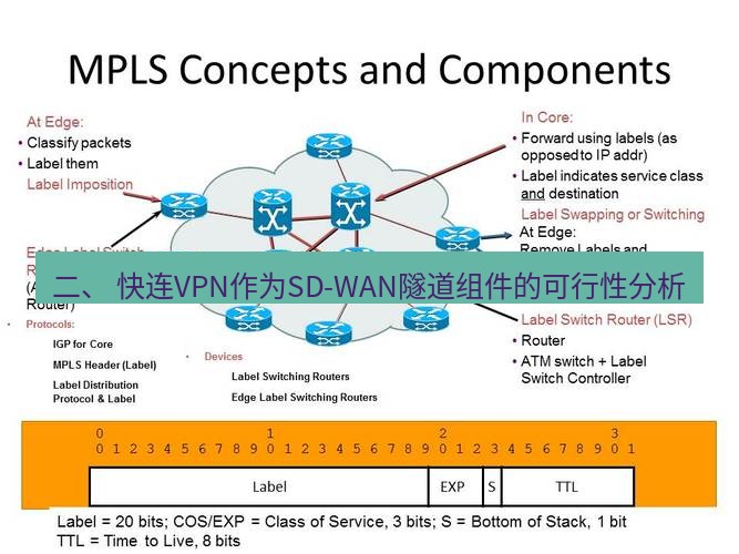 快连VPN 二、 快连VPN作为SD-WAN隧道组件的可行性分析